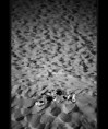 /album/objects/lost-in-time-jpg/